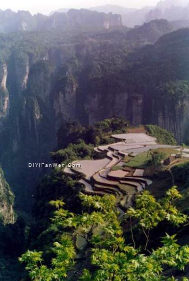 天子山圖片