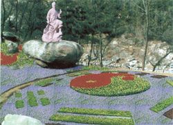 蒙山國家森林公園圖片