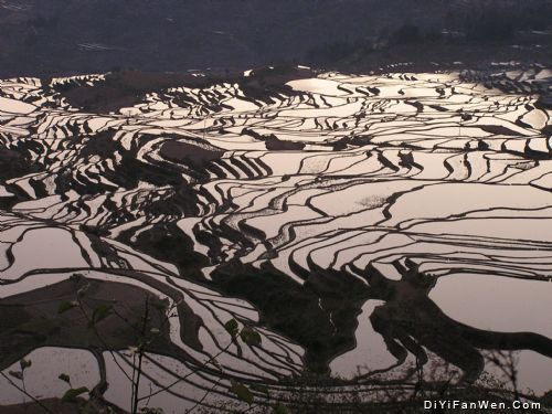 雲南元陽梯田圖片
