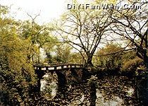 鵝嶺公園圖片