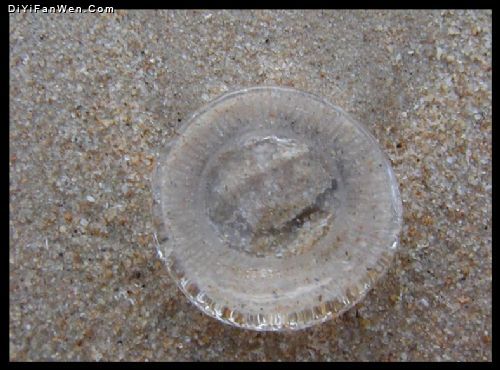海南香水灣圖片