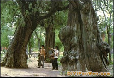 嵩山圖片