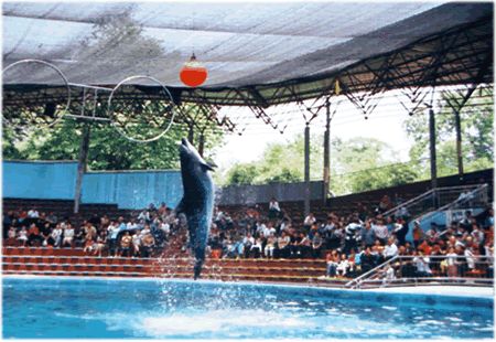 長沙動物園圖片