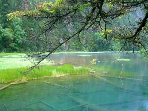 四川芳草海圖片
