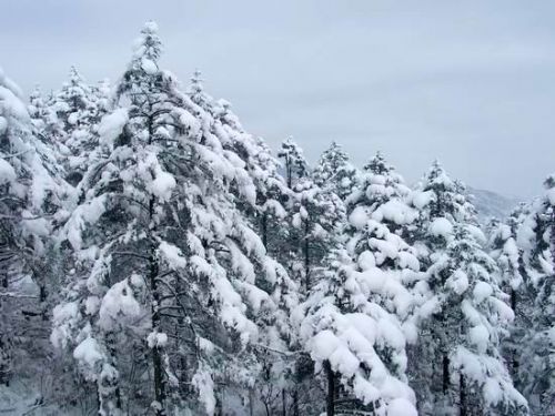 西嶺雪山圖片