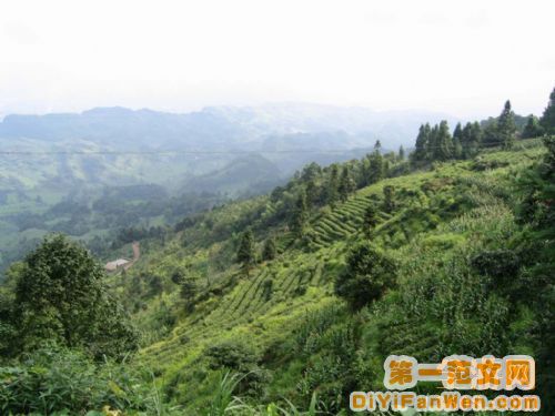 雅安圖片