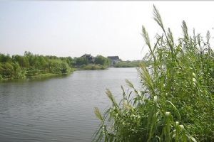 陽澄湖圖片