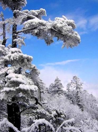 西嶺雪山圖片