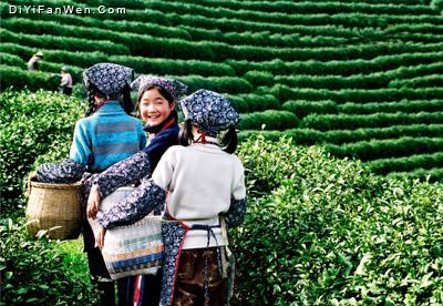 西湖龍井問茶（新十景）圖片