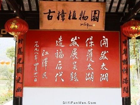 洞庭西山古樟植物園圖片