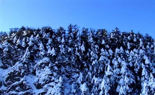 西嶺雪山圖片