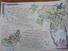 語文手抄報：真情