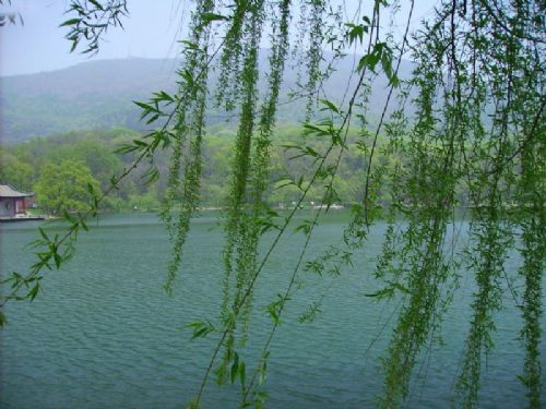 鐘山景區圖片