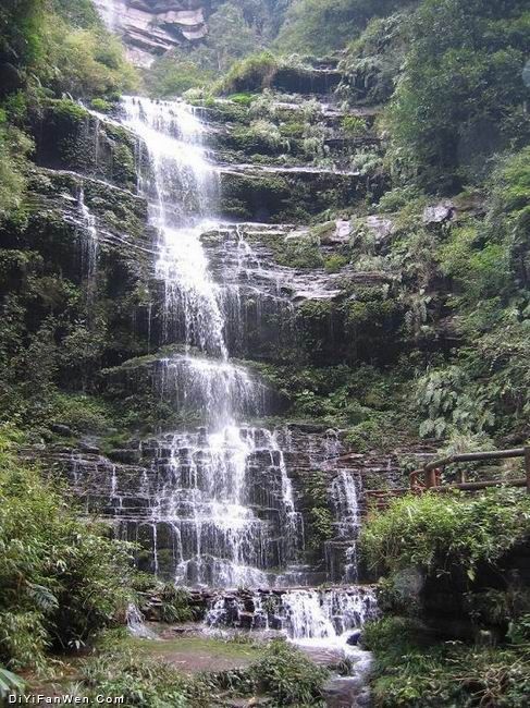 四川碧峰峽圖片
