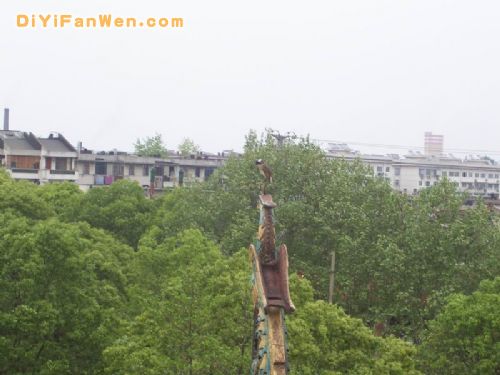岳陽樓圖片