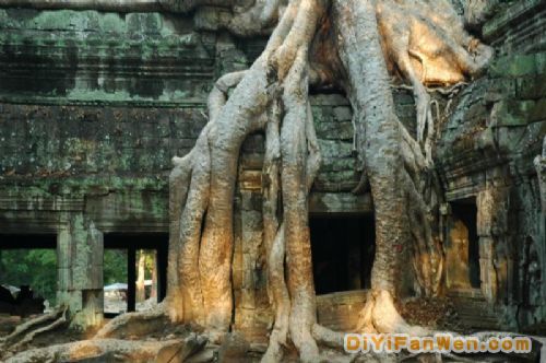 高棉神秘的塔布隆寺圖片