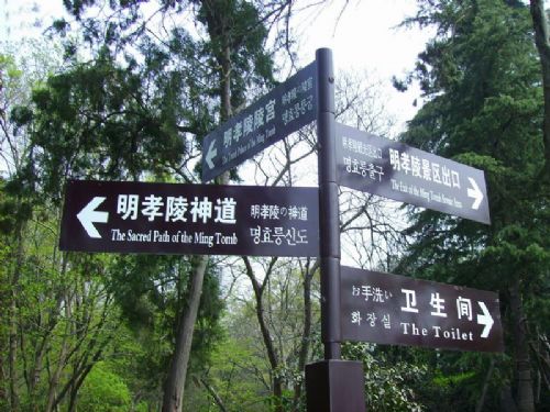 鐘山景區圖片