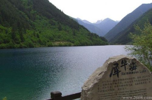 四川犀牛海圖片