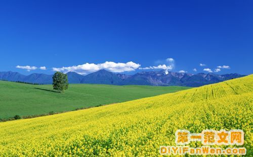 北海道美景圖片
