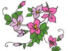黑板報花邊：花邊設計