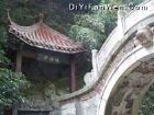 顧渚山茶園