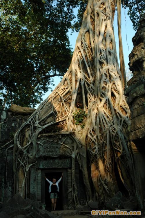 高棉神秘的塔布隆寺圖片