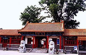 臨沂市博物館圖片