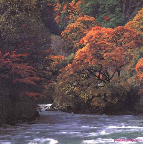 嶽麓山圖片