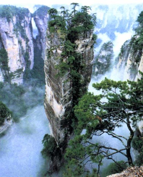 楊家界風景圖片