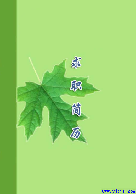 生命之光個人簡歷封面