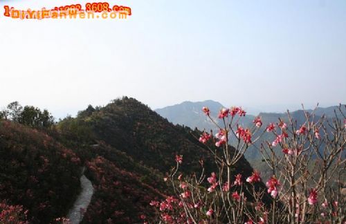 廣西大明山圖片