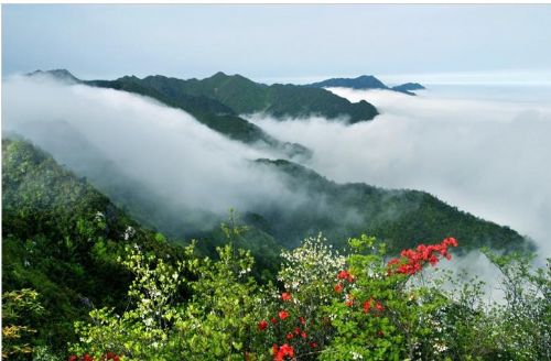 井岡山圖片