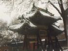 純陽宮