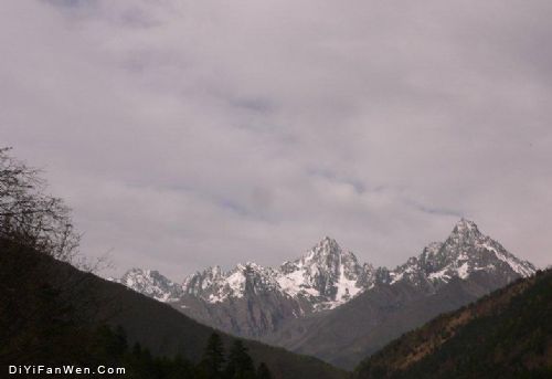 四川龍肘山圖片