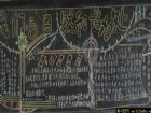 關於大自然的黑板報