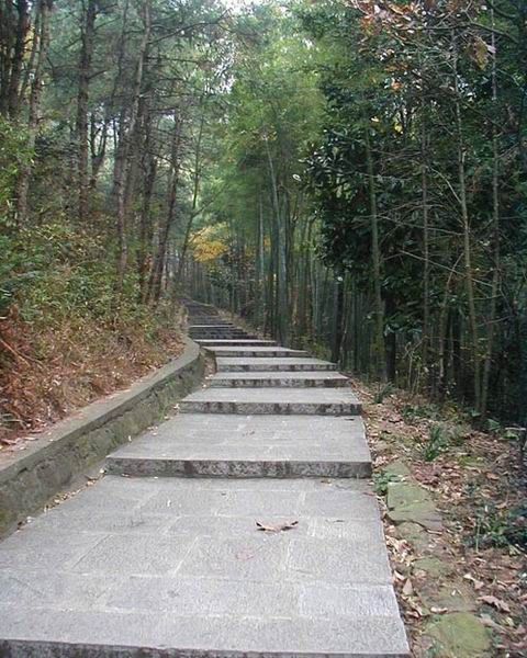 安徽敬亭山風光圖片