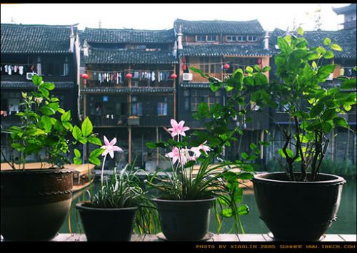 鳳凰古城圖片