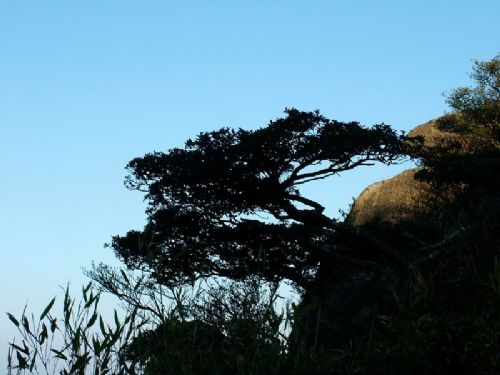 九仙山圖片