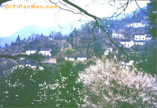 歙縣上豐花果山村落生態旅遊區圖片