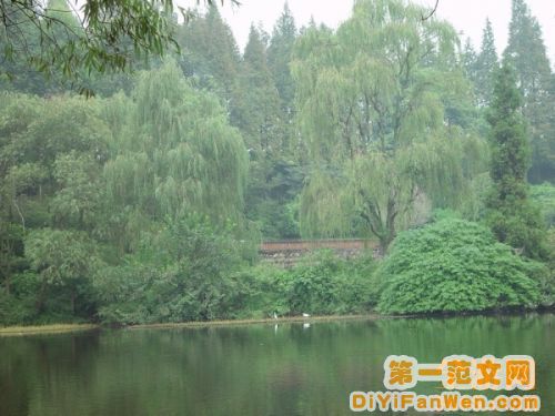 雅安圖片