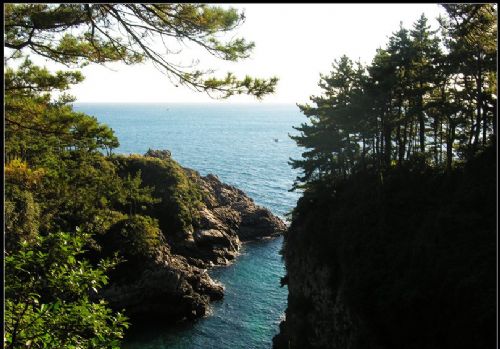濟州島圖片