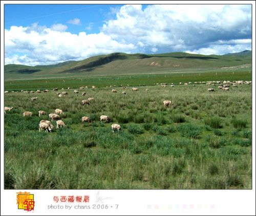 甘南景色圖片