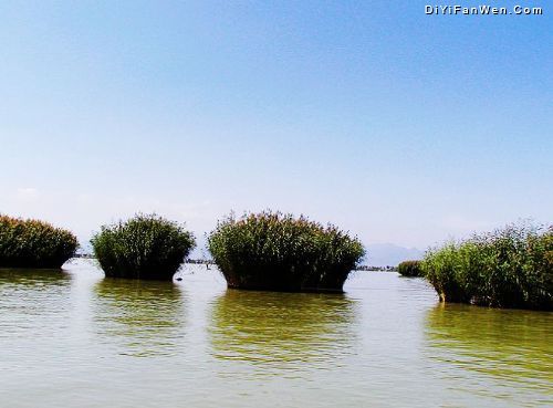 寧夏沙湖圖片