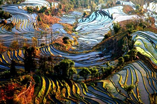 冬日元陽圖片
