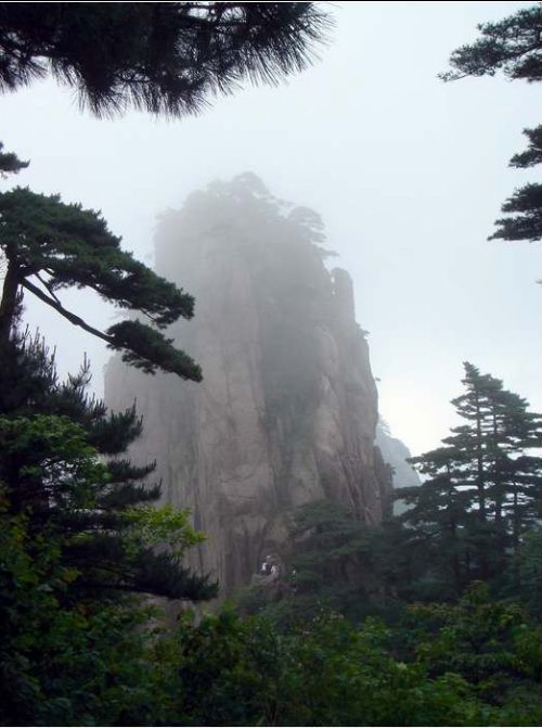 黃山奇松圖片