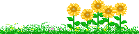 精美花邊圖片