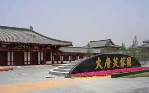 大唐芙蓉園圖片