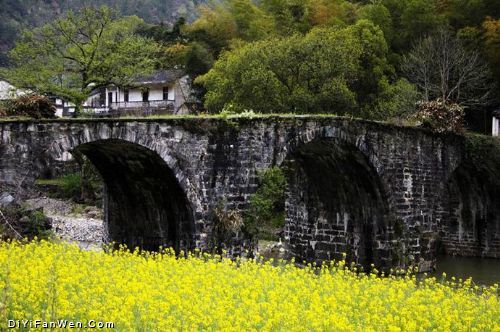 安徽石潭油菜花海圖片