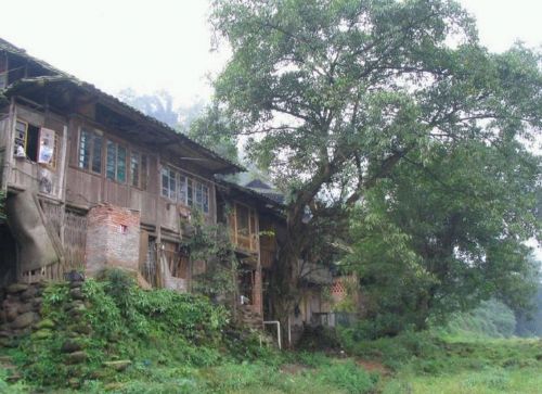 四川柳江古鎮圖片
