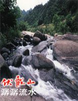 賽武當自然保護區圖片